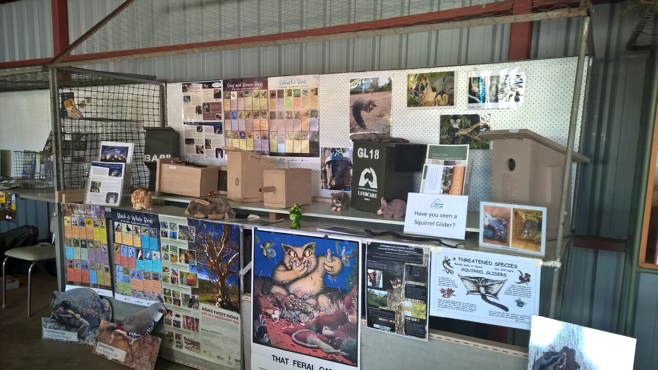 Nestbox Display